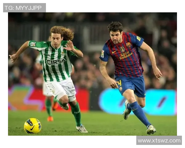 汉堡与基尔比赛比分深入分析及战术对比探讨 汉堡与基尔比赛比分深入分析及战术对比探讨